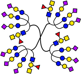 Convergent synthesis of a hexadecavalent heterobifunctional ABO blood group glycoconjugate dlvr.it/SzHkBS
