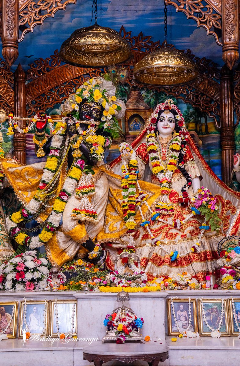 manikdas1001's tweet photo. Sringar Darshan of Lord Radhamadhav and Ashtasakhi's at Iskcon Mayapur Chandrodaya Mandir 💓শ্রীধাম মায়াপুর ইস্কন মন্দিরের শ্রী শ্রী রাধা গোবিন্দ ও অষ্টসখীর হরে কৃষ্ণ হরে কৃষ্ণ কৃষ্ণ কৃষ্ণ হরে হরে।
 হরে রাম হরে রাম রাম রাম হরে হরে
https://t.co/A9jF8gScfs https://t.co/sEXEZh6jBv