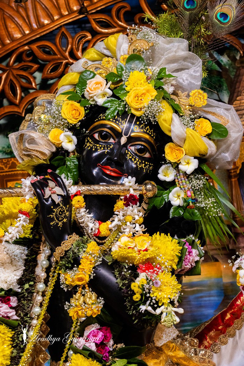 manikdas1001's tweet photo. Sringar Darshan of Lord Radhamadhav and Ashtasakhi's at Iskcon Mayapur Chandrodaya Mandir 💓শ্রীধাম মায়াপুর ইস্কন মন্দিরের শ্রী শ্রী রাধা গোবিন্দ ও অষ্টসখীর হরে কৃষ্ণ হরে কৃষ্ণ কৃষ্ণ কৃষ্ণ হরে হরে।
 হরে রাম হরে রাম রাম রাম হরে হরে
https://t.co/A9jF8gScfs https://t.co/sEXEZh6jBv