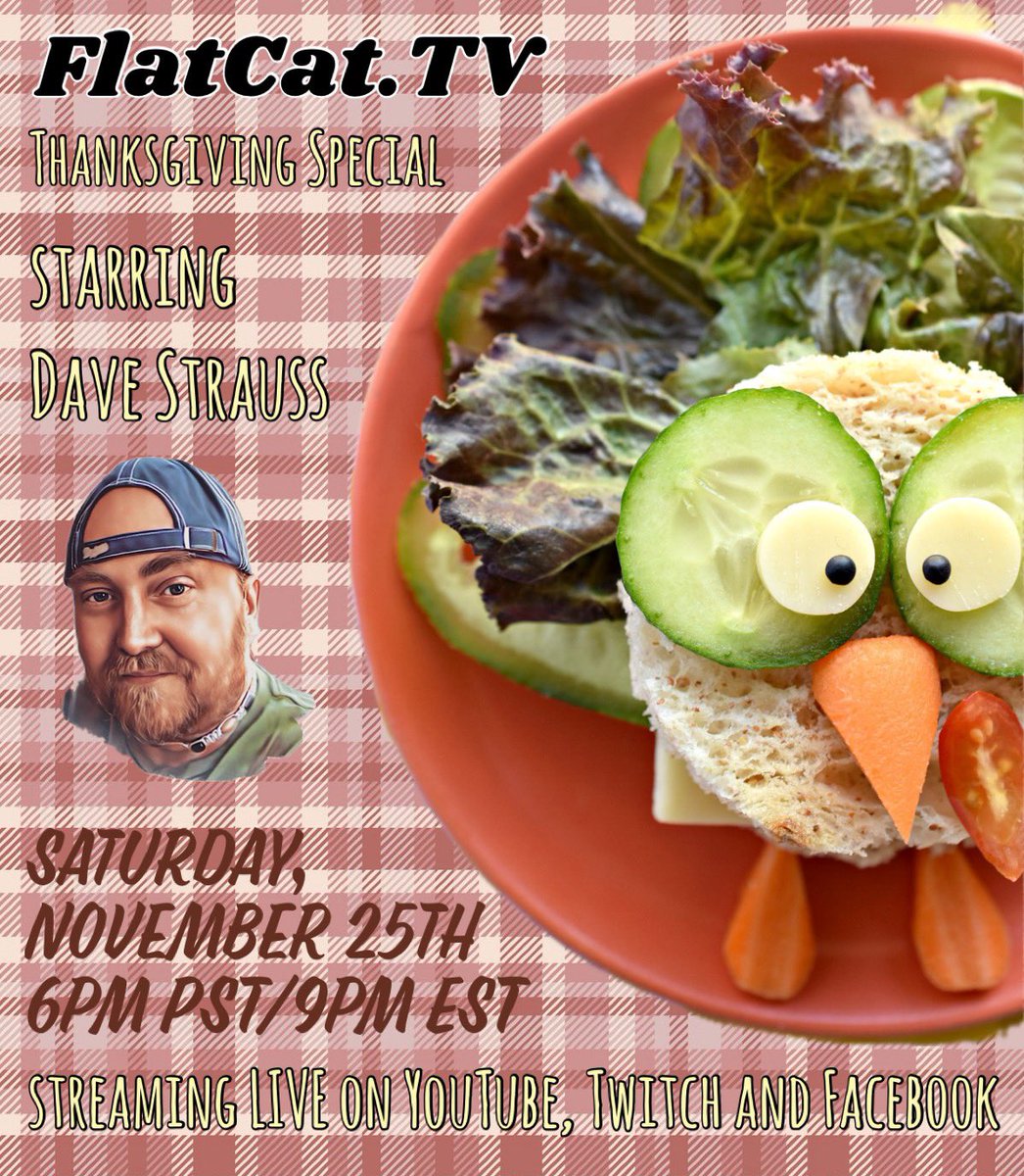 Flat Cat TV tweet media