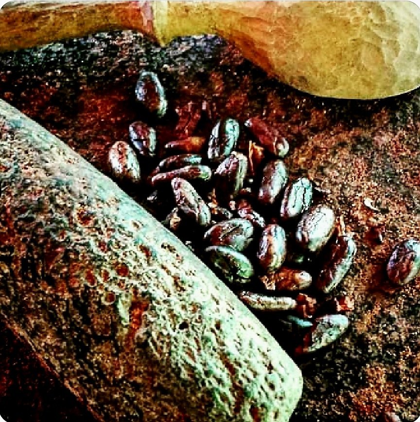 fb.watch/oxosDdVJFD/
Why Ka'kaw Chinimital organic cacao is so extremely special 🔥☀️🫘🇬🇹♥️🐆🦜🌎  New Post.
Mayan Cacao, ancestral wisdom made by three generations of the Chinimital community in Guatemala 🇬🇹