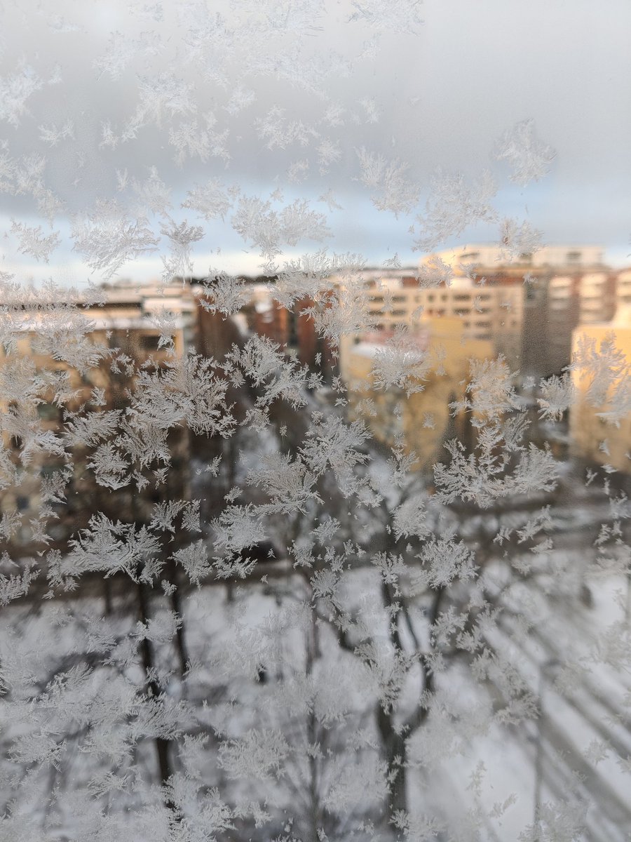 Tampereen aamu yllätti jääkukilla🤗