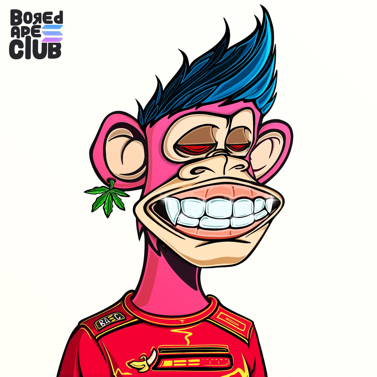 i just applied to get the @solabrador airdrop for being a <a href="/BoredApeSolClub/">Bored Ape Solana Club</a> holder. ape fam strong 🧠