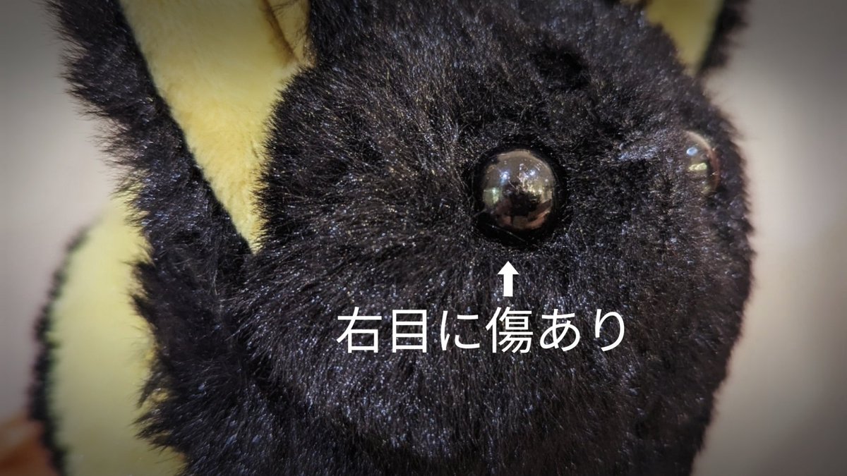 _kemono_'s tweet photo. 【🐝プレゼント企画🐝】

量産の難アリむしだるまを1名様にプレゼント致します！
注意事項を既読し納得された方のみご応募下さい！

🌟応募方法🌟
①アカウントをフォロー

②このポストをRP ！
※引用は無効です！

※〆切 →11/30（木）21時です。
宜しくお願い致します！

#kemonomania https://t.co/a2u8qyFV20