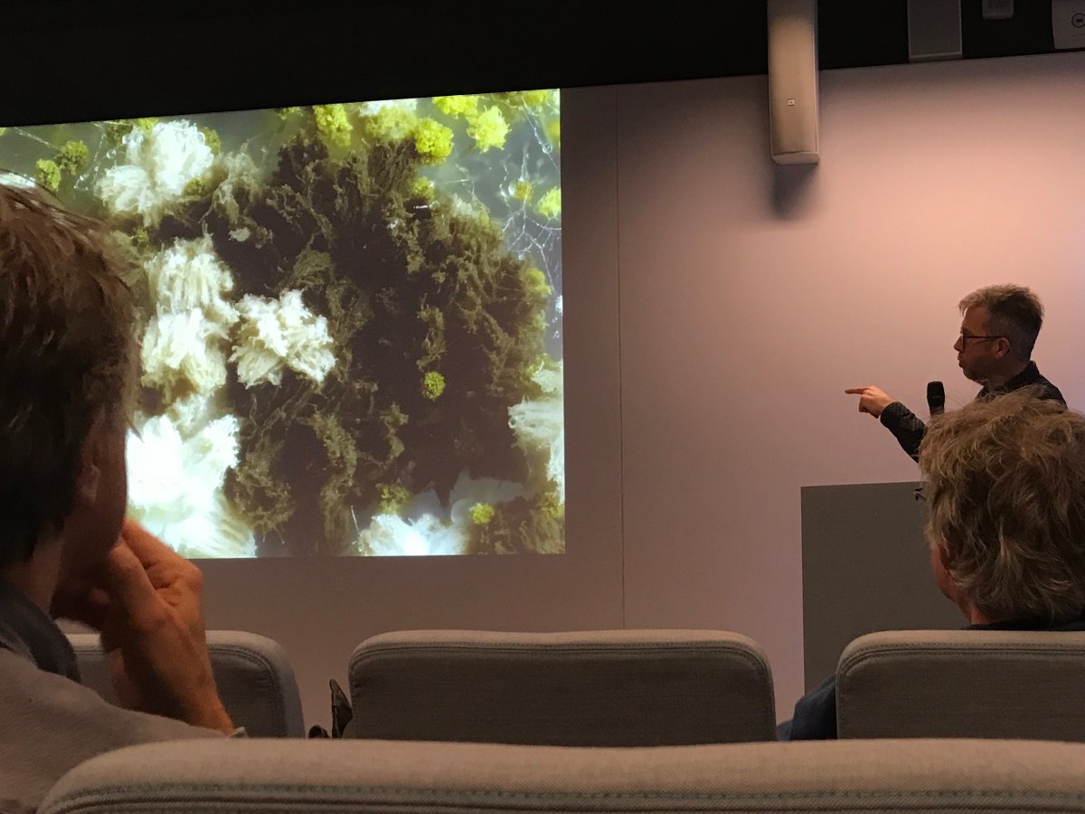 Thanks to @KNVM_online and @_Westerdijk_ for inviting me to join the very nice symposia on the theme: Fungal Anarchy! Here @wimicrobe ending with beautiful photos of #Fungi