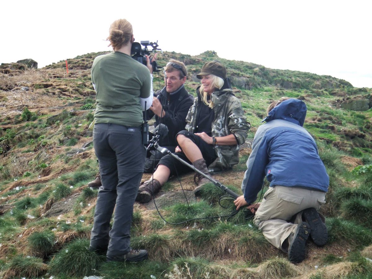 ForthSeabirds's tweet photo. @gannetrocks @SeabirdCentre It's 18 years since Wild Thing I Love you was screened. Several of the FSG team volunteered that day. A memorable day Chopping the dense forest, abandoned #puffin burrows revealed. Over the years  counts became easier. Puffins vegetation returned. Looking amazing now. Success ! https://t.co/drHq3Ws2Pj