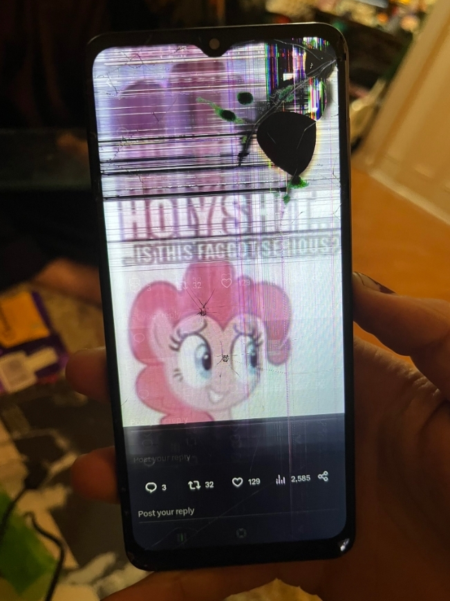 had to wait to get to my computer to post this.
a few minutes after tweeting that, my phone became completely inoperable.
this is how my phone broke.
every time i turn it on its THIS image and i cant do anything about it anymore