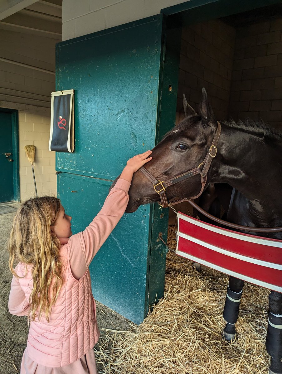 GattoRacingLLC's tweet photo. Welcome to the family! We were able to win a shake today @DelMarRacing on this cool three year old colt. https://t.co/b1LqbrpOAf