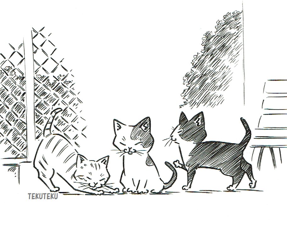 描き込んでビビらす圧倒するのは一つの手ではあるけど一枚絵のイラストと違って漫画の場合は限られた作画時間の中でそのストーリーやシーンや心境がイマジネーションの広がりと共に意図通りに伝わる表現をするのが目的なので描くところと描かないところの効果的なメリハリの判断が大切で難しくもある✨
