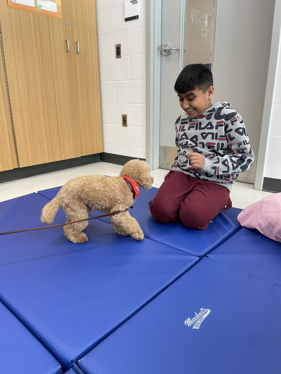 Ms. Willett tweet media