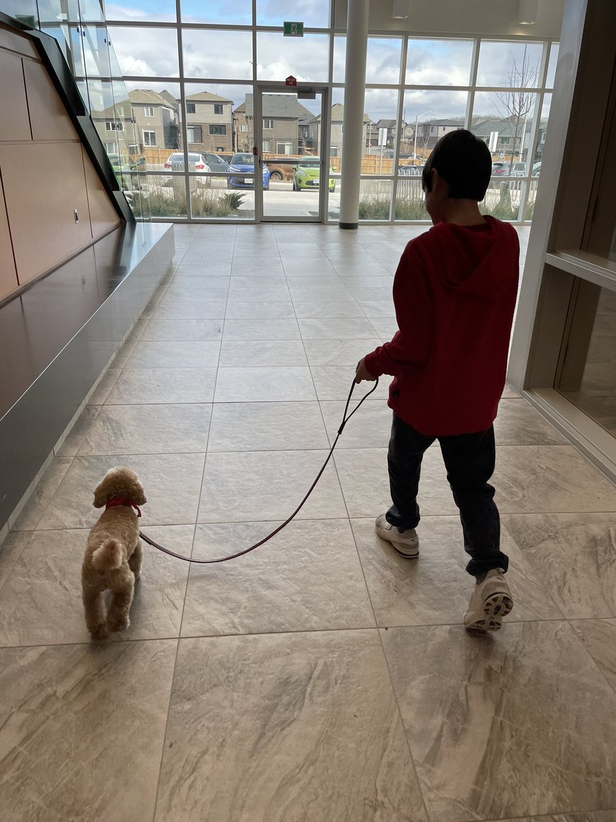 Some days require puppy snuggles. 🐶 We’re making progress! Last week only 2  #OakCreekAces would play w/ her. This week, we had 4! Thanks <a href="/ON_TherapyDogs/">SJA ON Therapy Dogs</a> for your program! <a href="/oakwrdsb/">Oak Creek PS</a> <a href="/wrdsb/">Waterloo Region DSB</a> #TherapyDogs #SpecialEducation #SpecEd #SpEd