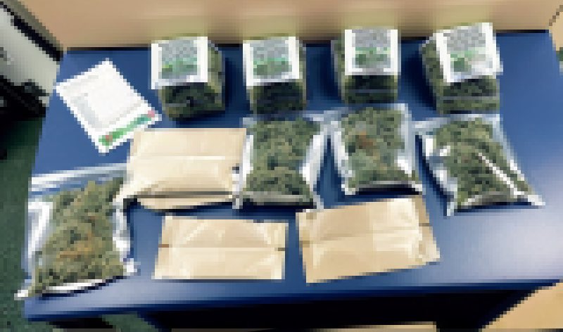 魂川りんり🌲大宇宙倫理の会 tweet media