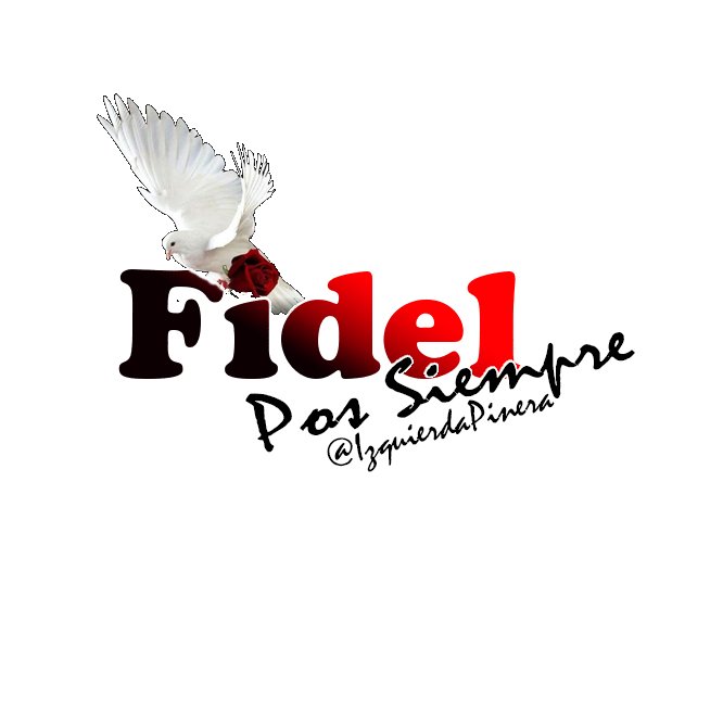 «Gracias por tu dignidad, gracias por tu rifle fiel, por tu pluma y tu papel, por tu ingle de varón. Gracias por tu corazón. ¡Gracias por todo, Fidel!»
#FidelPorSiempre 

#DeZurdaTeam
<a href="/DeZurdaTeam_/">DeZurdaTeam 📳</a> 
<a href="/IzquierdaPinera/">🇨🇺IzquierdaPinera❤️</a>