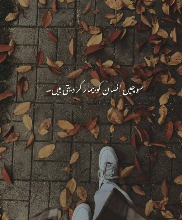 Kyfiat_e_Zindgi's tweet photo. کھوکھلے قہقہے رنج و الم کی داستان ہوتے ہیں https://t.co/uboblanz6B