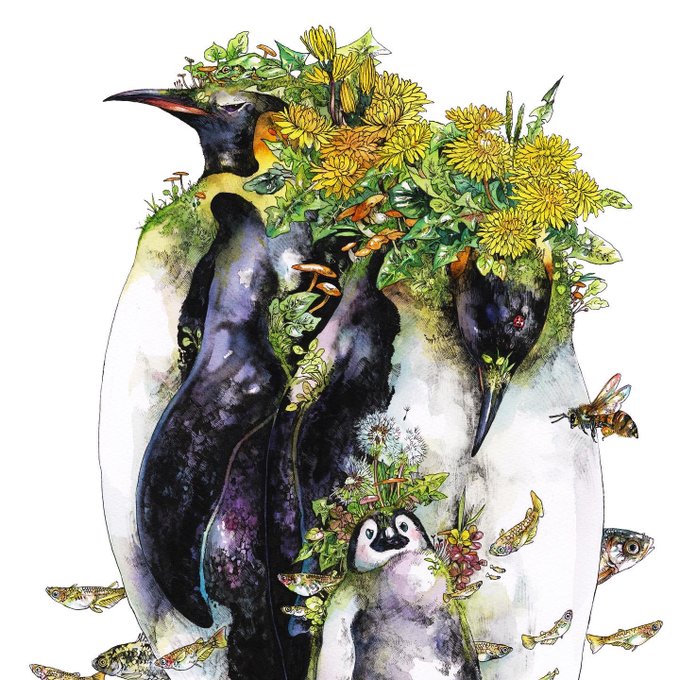 「flower penguin」 illustration images(Latest)