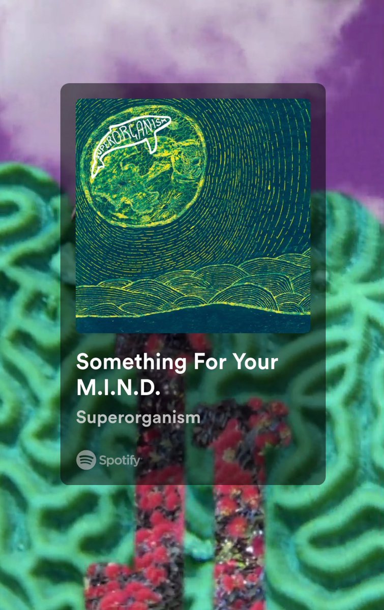 thickastheives's tweet photo. songs i started listening to bc of tiktok 
(i cant think of anything else) 

reply for a category ☺️🫶🏻⭐️ https://t.co/PaGH1J4MU4
