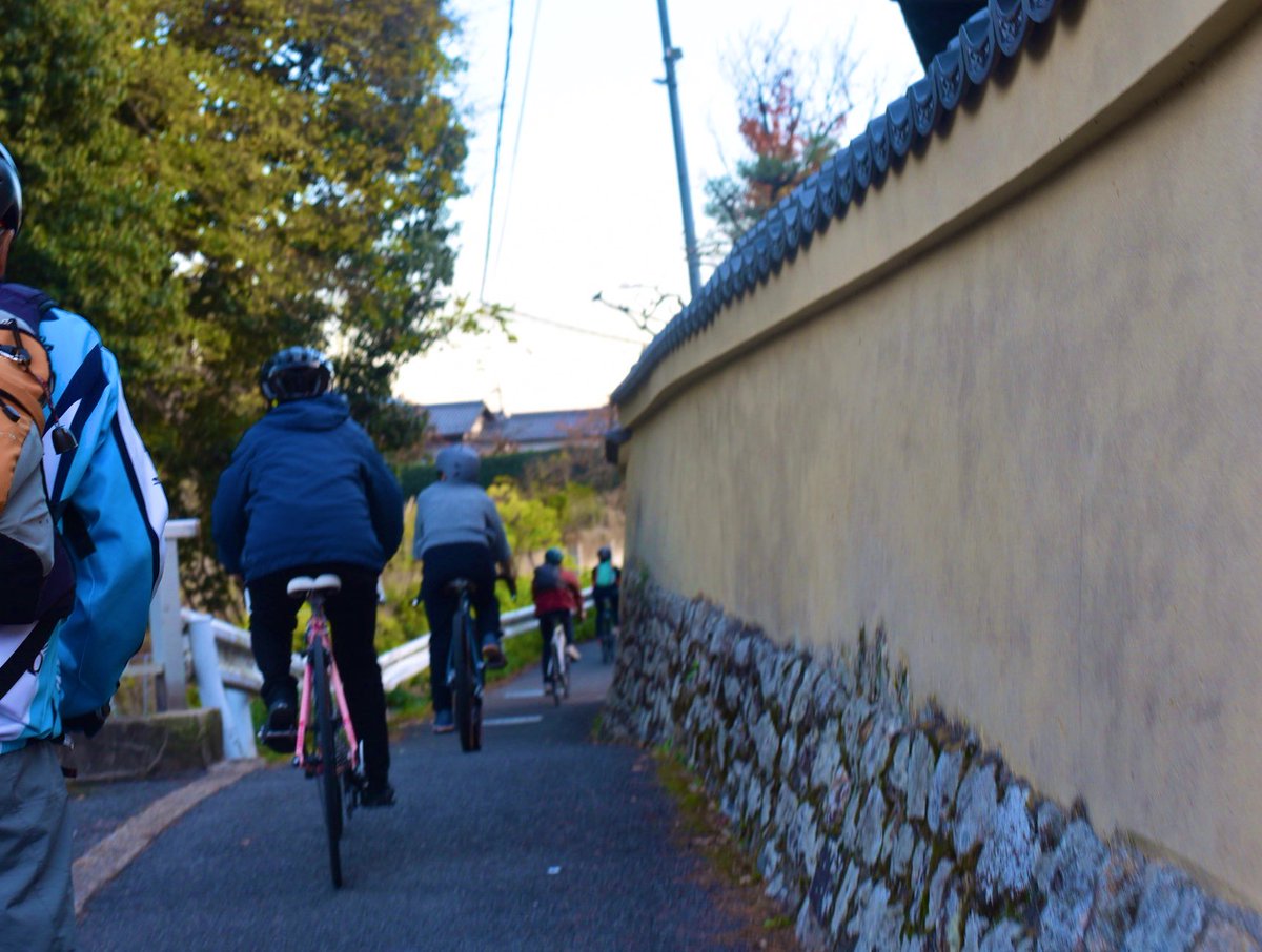 【公式】VIGORE（ビゴーレ）|京都のオーダー自転車 tweet media