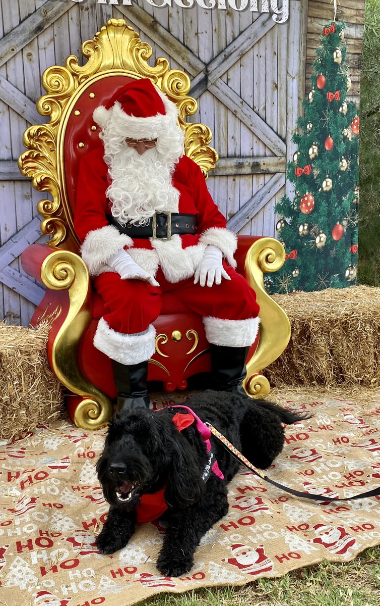 Thank you to the City of Greater Geelong Animal Management Team for this well loved & now annual opportunity to have a free Santa Pet Photo as part of the Christmas in Geelong program.The team was in Lara & my family & Truffle popped in #GeelongChristmas #MyGeelong #GeelongEvents