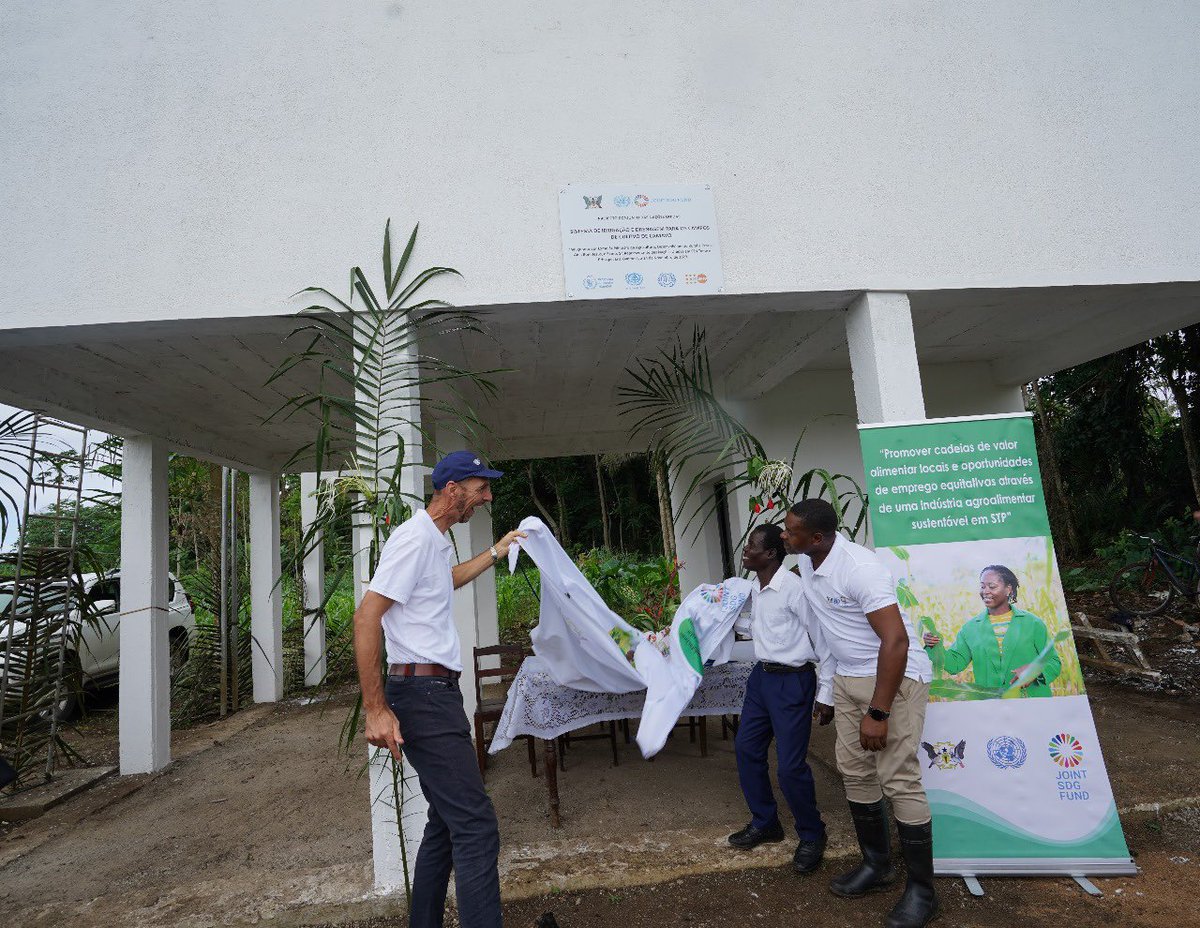 ONU_STP's tweet photo. The RC @eric_overvest and the Minister of Agriculture, Abel Bom Jesus, inaugurated the drainage and irrigation system in Camavo as part of the @JointSDGFund Project: Promoting Local Food Value Chains and Equitable Employment Opportunities through a Sustainable Agri-Food Industry. https://t.co/zeOhFVg0Rs