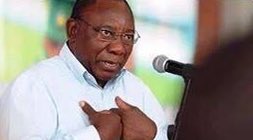 Moroka_Swallows's tweet photo. The sleeping giant, bafuna ukuvuka ngathi?  Aneva 🤞🏿

#MorokaSwallows https://t.co/7jRisc8lIa