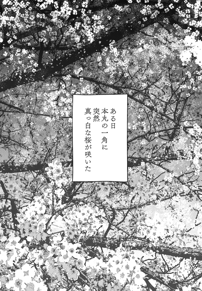 ぶぜまつの本を出張編集部で見てもらった時に、出だしがこれだったんだけど『「だから何?」って思っちゃうので最初から桜にさらわせた方がいい』ってアドバイスいただいて、今ならそれがめちゃくちゃわかる 