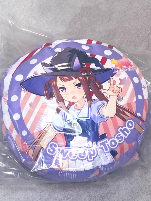 最近入手したものです