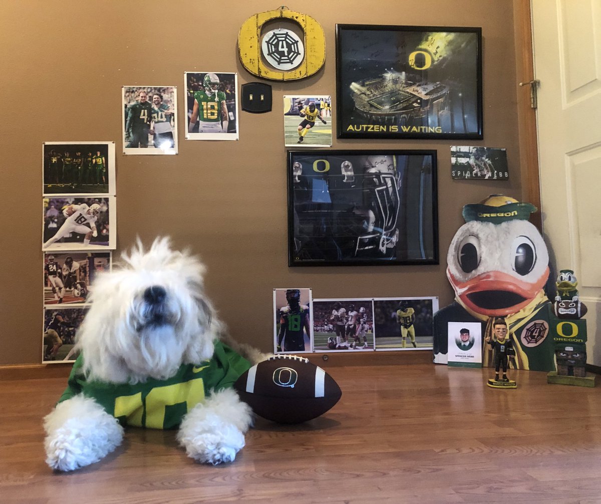 toppdogg420's tweet photo. OOOOOOOOOOOOOOO!!! #GoDucks #4Spence 🦆🏈💚💛🐾🕊️ https://t.co/8sqjCPguOP
