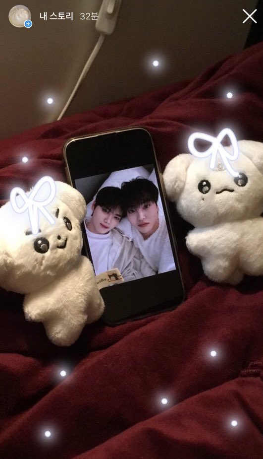 강쥐즈 aesthetic…