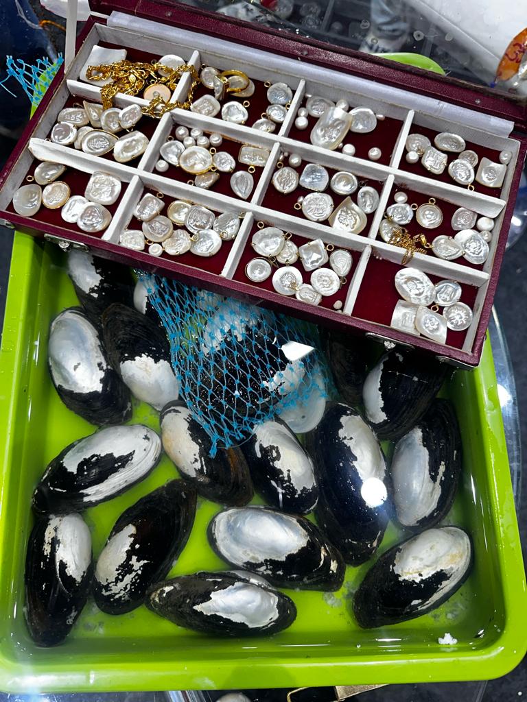 Indian Pearl Culture, one of the exhibitors at Global Fisheries Conference India 2023, is working in freshwater aquaculture for the production of pearl. #GFCIndia2023 #FishForFuture #PMMSY #MSJA #Fisheries4India