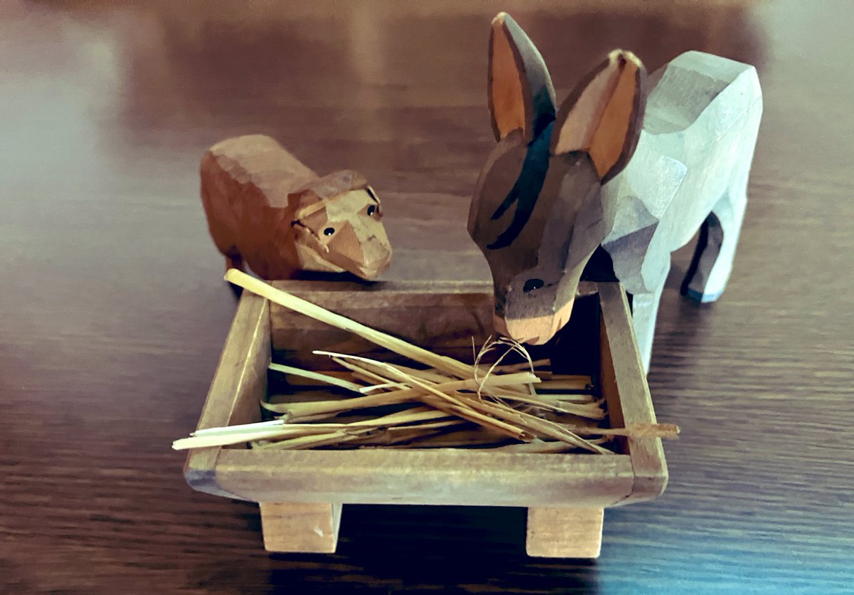 KirishimaChurch's tweet photo. クリスマスが近づいてきましたね。みなさまはイエスキリストが生まれてきた場所を知っていますか？居場所がないベツレヘムで、生まれて、飼葉桶（家畜のエサを入れるとこ）に寝かされたのです。何かを私たちに語りかけているようですね。 https://t.co/8TVVadyGWc