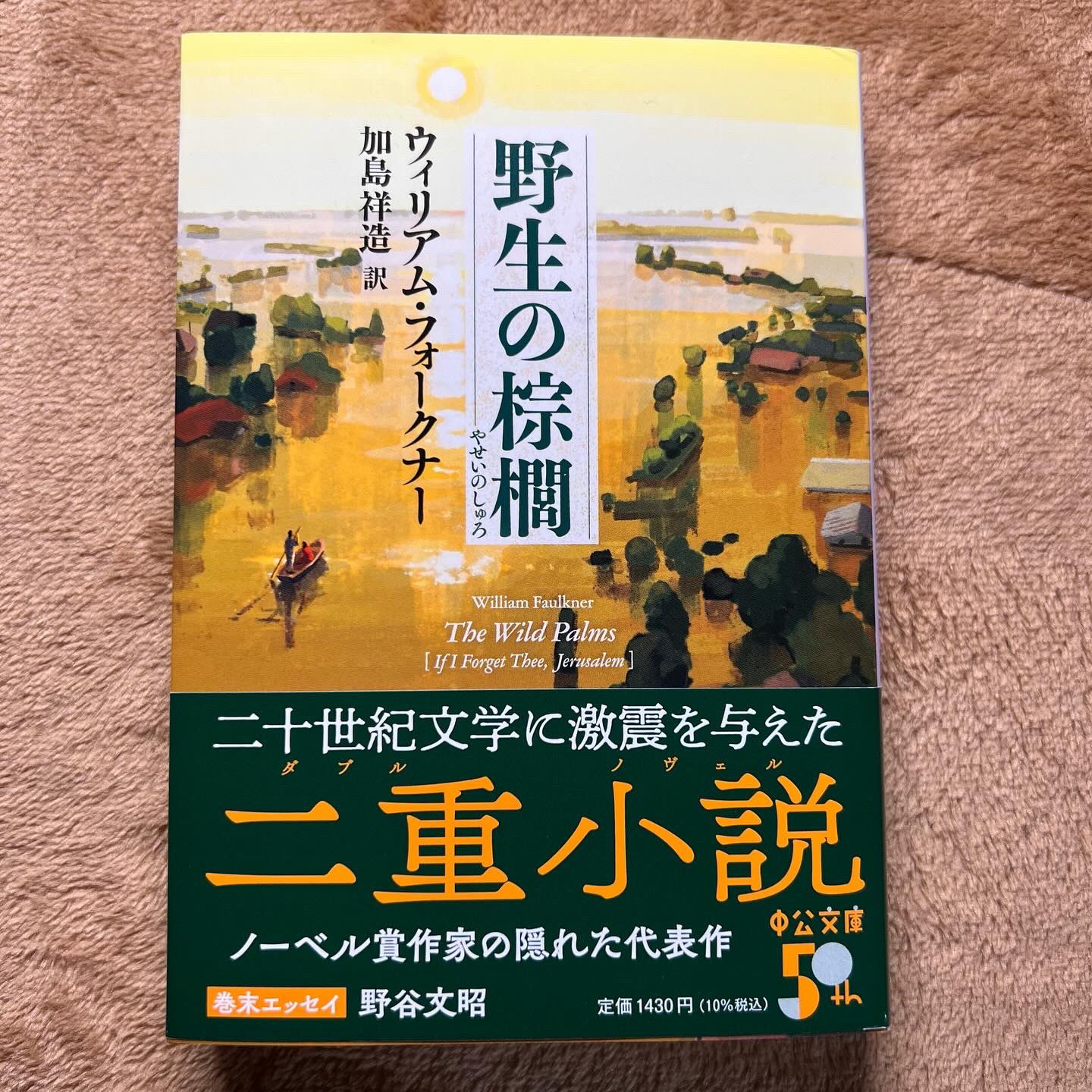 火山のオカリーナ 木箱入り 説明書付 火山のオカリーナ 木箱入り