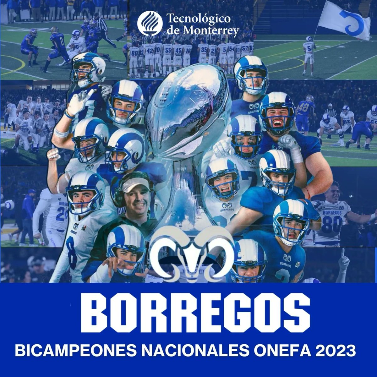 david_garza's tweet photo. .@BorregosMty, campeones de la liga ONEFA 2023 categoría mayor. Nuestro reconocimiento a @UANL_Autenticos por un gran partido. Cerramos temporada en el marco del #80TEC del @TecdeMonterrey en la que @borregostec tuvieron una destacada participación #azultec #BorregosEnONEFA https://t.co/kVIOy1ESrI