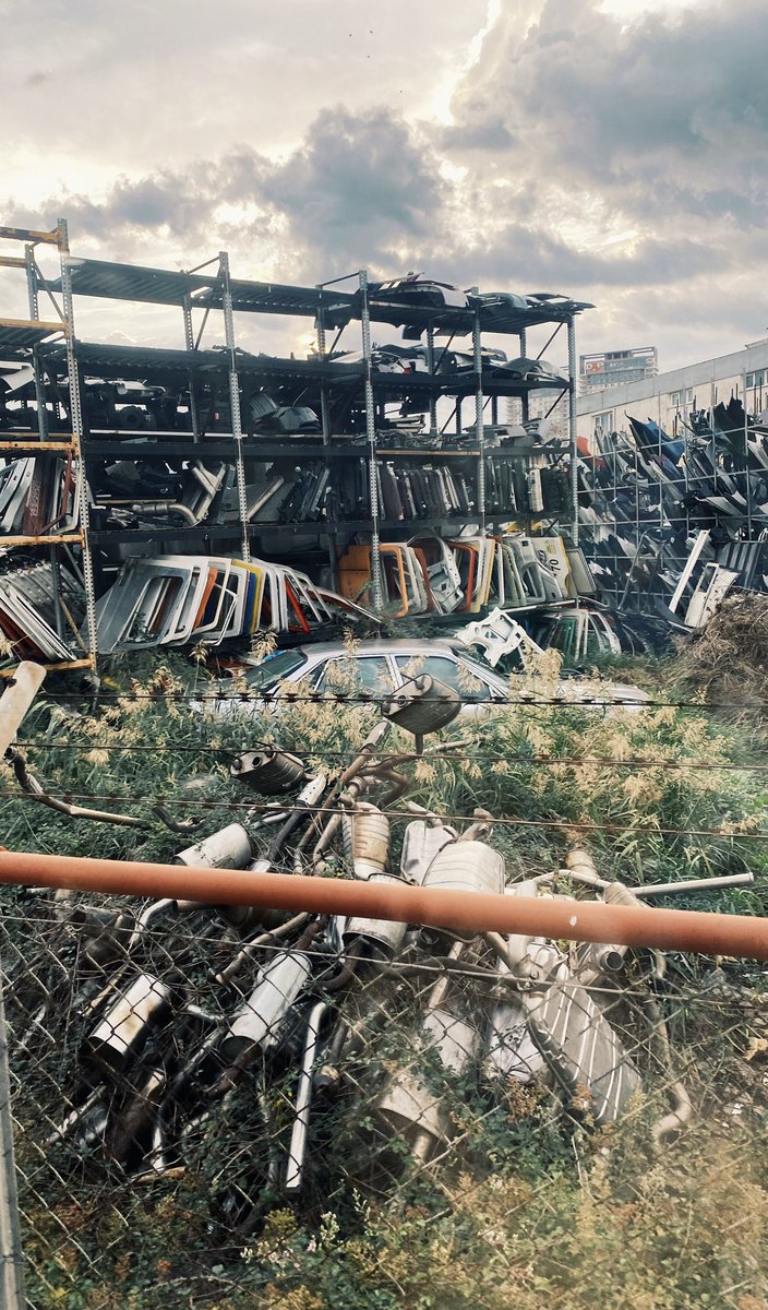 🔴 Eroticat tweet media