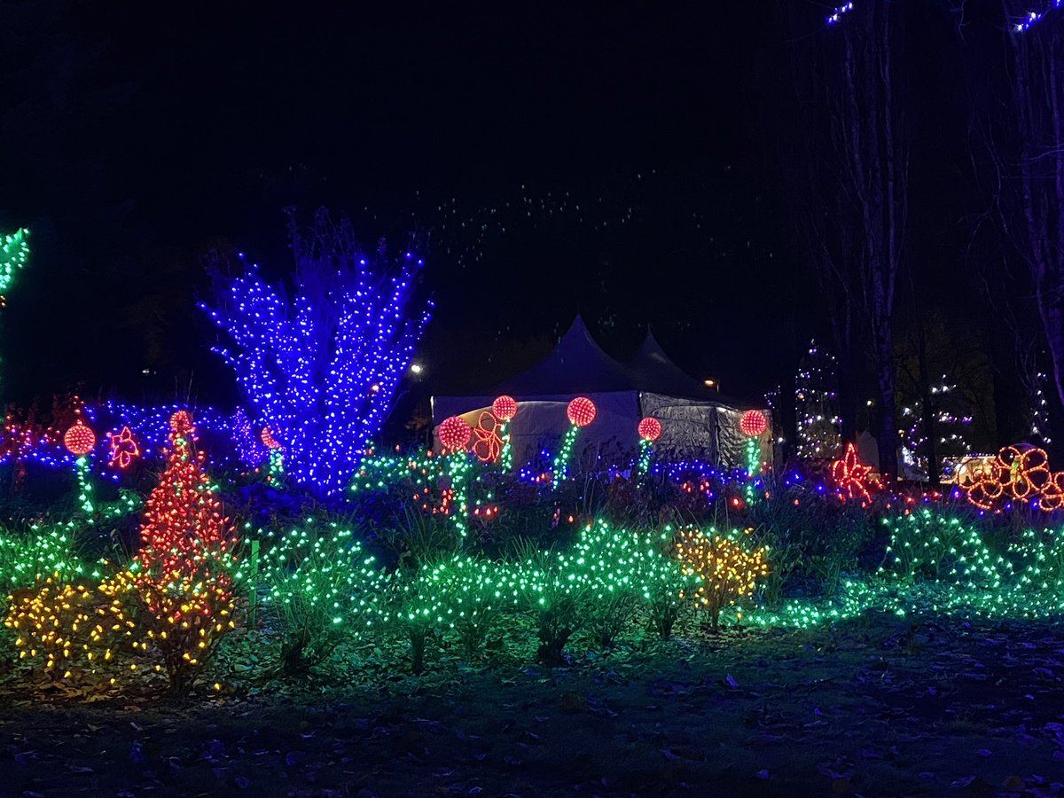 Liv2bLeen's tweet photo. Literally loving the lights at Lafarge Lake! #LightsAtLafarge https://t.co/4fPZjulqRE