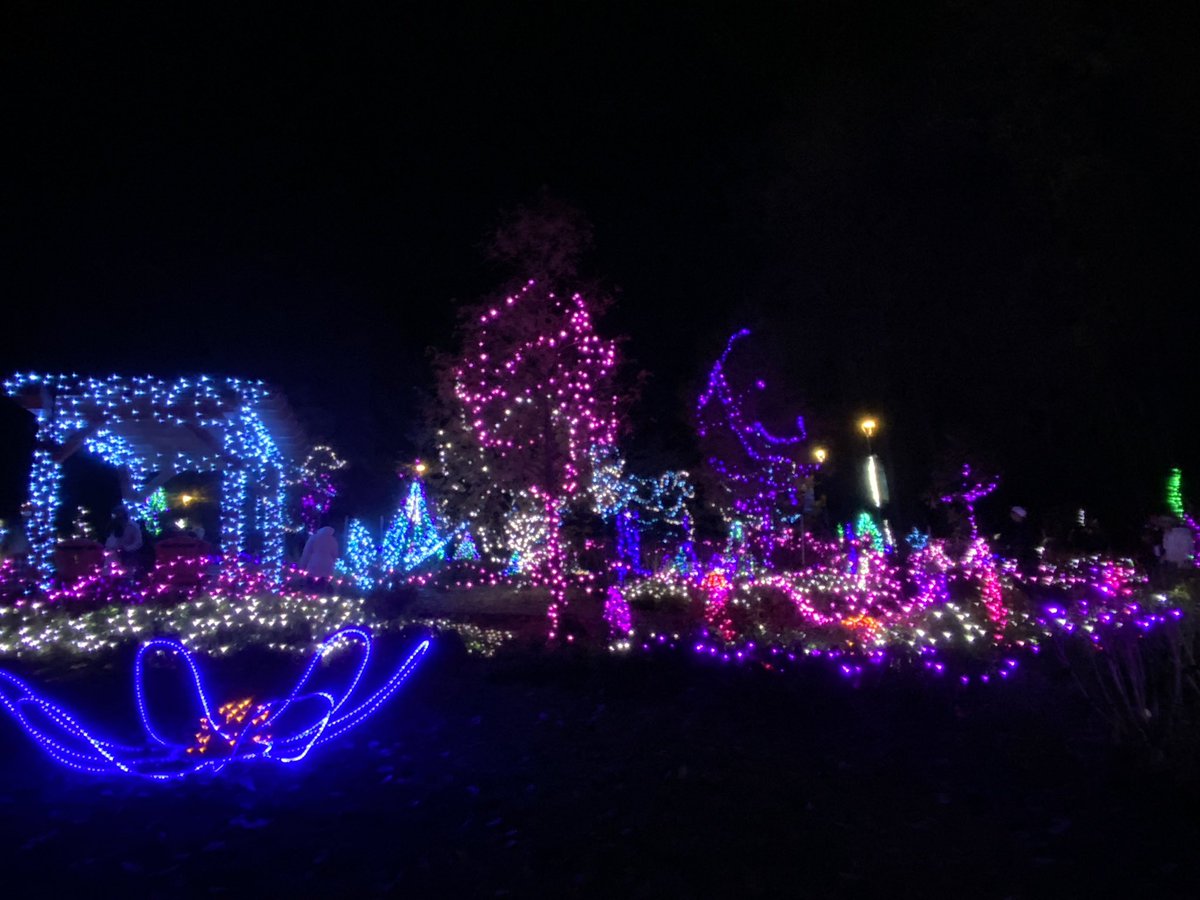Liv2bLeen's tweet photo. Literally loving the lights at Lafarge Lake! #LightsAtLafarge https://t.co/4fPZjulqRE