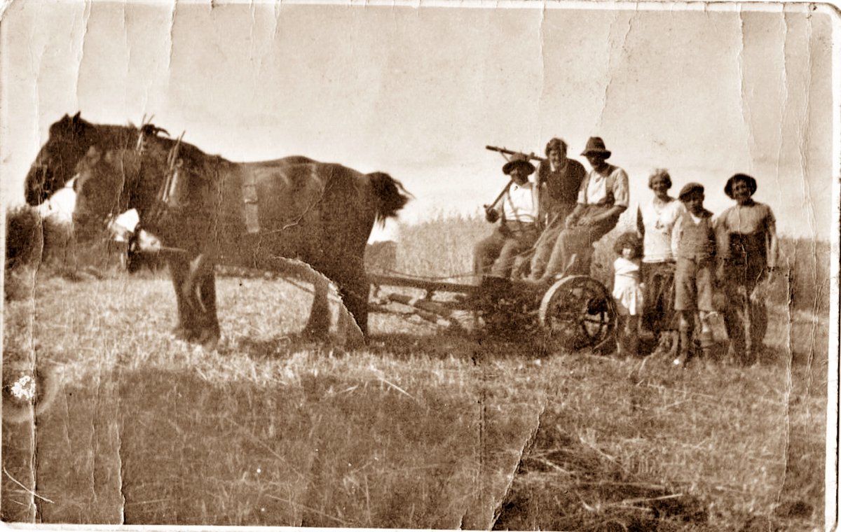 Explore Your Archive Week

kilcullenbridge.blogspot.com/2023/11/explor…

Explore Your Archive is an annual campaign to highlight archive collections, with a different theme assigned to each day, writes Mary Orford. We showcase photos from the Meitheal of Memories archive of our community.