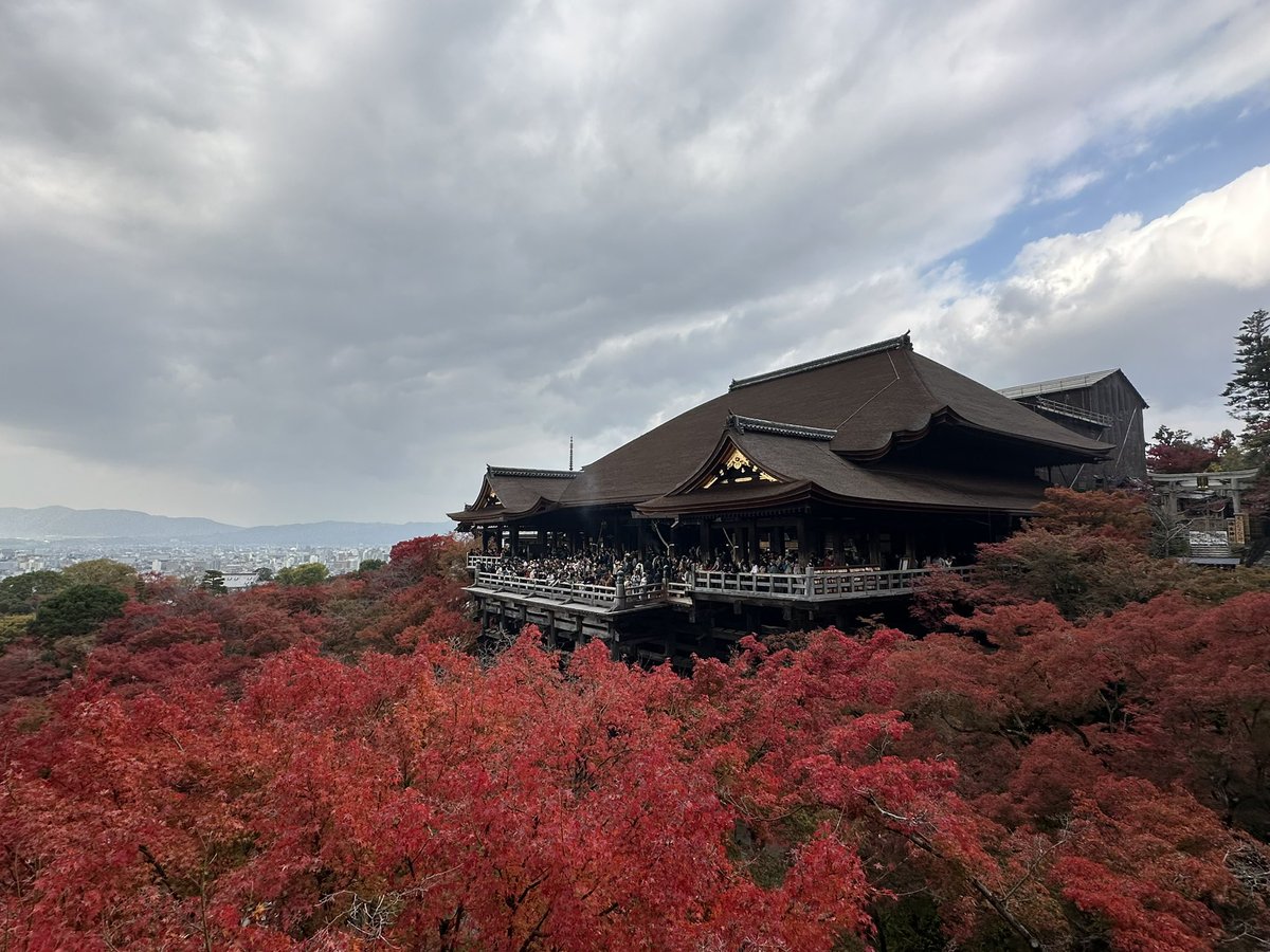 nsobserver_'s tweet photo. Kyōto looking beautiful this time of year 🍁 https://t.co/9vFRj6BxQB