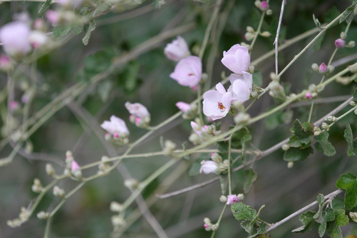 Small grants can support green recovery by reducing upfront cost barriers that make it difficult for small businesses and entrepreneurs to invest in sustainability 🌿

Visit our website 👇 to read more on this news article
bit.ly/3SWyCVC

#GreenRecovery  #sustainability