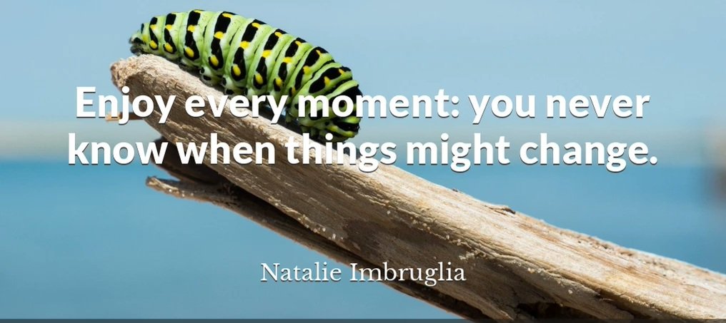 Natalie Imbruglia - Enjoy every moment: you never know