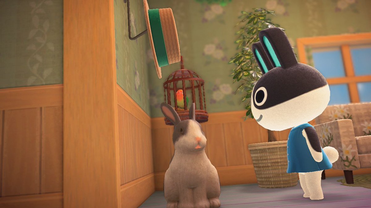 graedo_acnh's tweet photo. 🐰🐰 https://t.co/3HaCLferL2