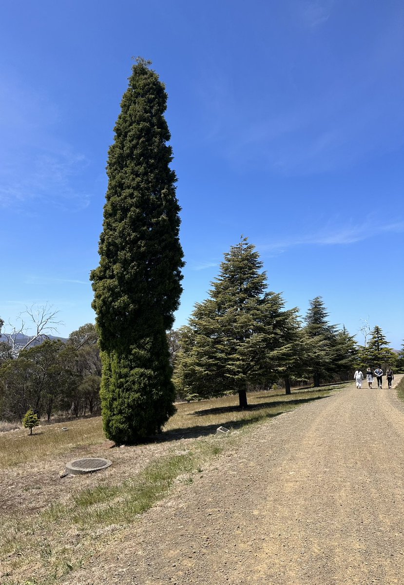 I came across Mentor Walks for working women while looking up things to do in Hobart &amp; it’s one of my fave events so far. It’s a ticketed walk in small groups, for some mentoring and fresh air. Held in Australia, New Zealand, Singapore &amp; Canada. 10/10 reco for the vibe and wisdom