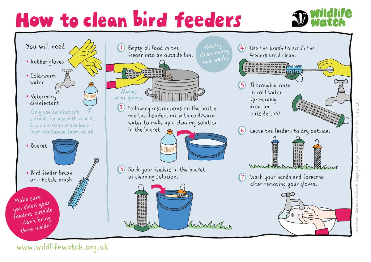 It's important to keep bird feeders and nestboxes clean to help stop the spread of diseases. Use our handy guide 👉 wildlifetrusts.org/actions/how-cl…