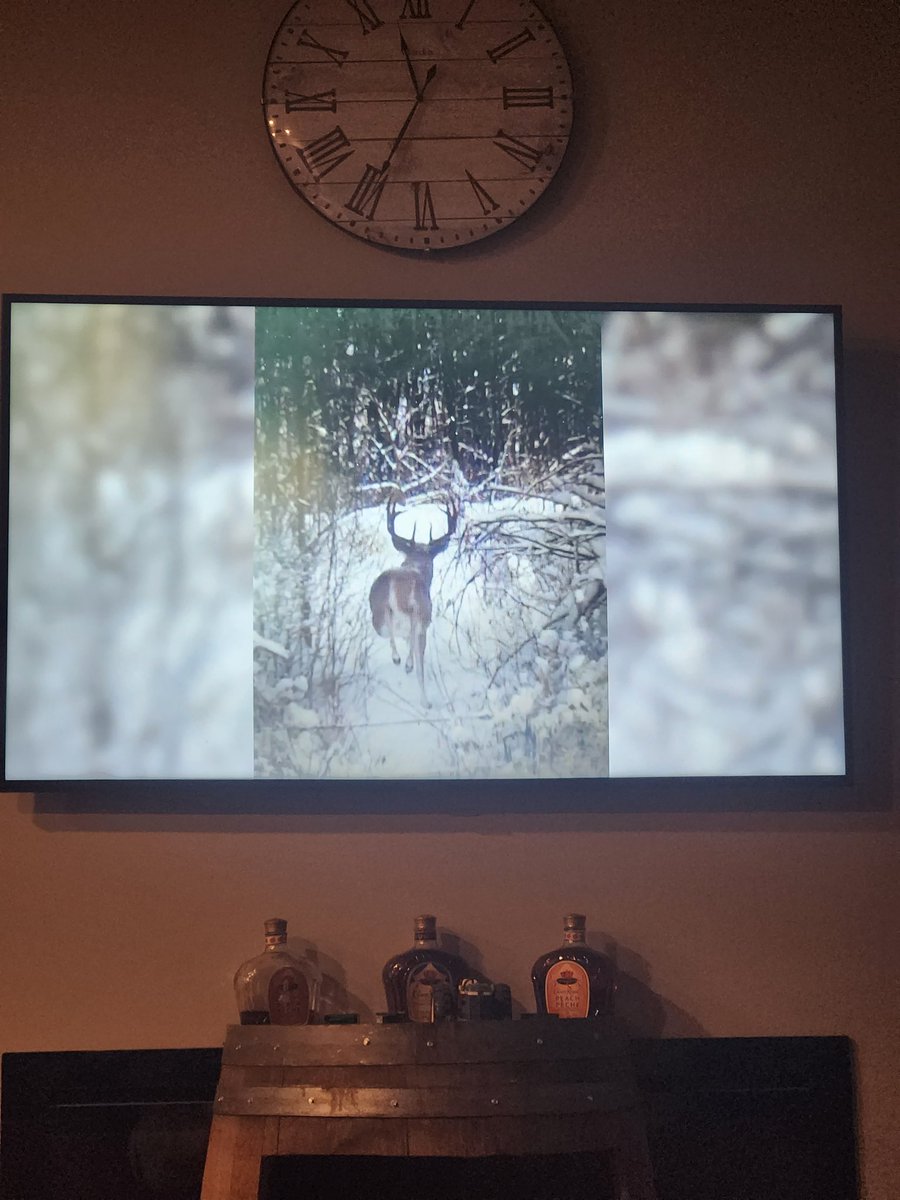 norminacombine's tweet photo. Watching #Bowzonelive. Learning the finer points of Bow Hunting. EST pre/post game host @TomGazzola does an excellent job. Episode 2 doesn't disappoint.  #solidarity #Bambi #chessandcheckers #deervsman https://t.co/hS3mvQrP8X