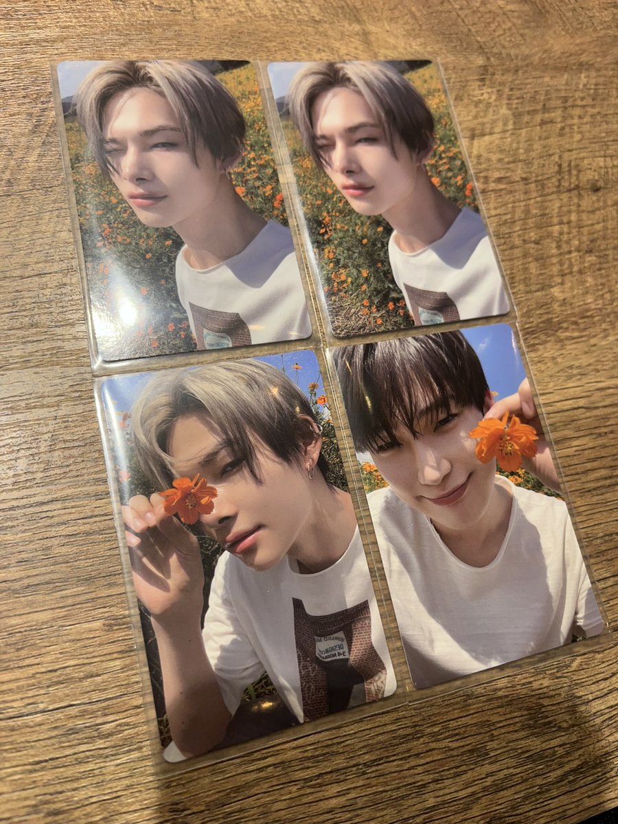124_pinaaa's tweet photo. ENHYPEN Orange blood

求)  Weverse アルバム ジェイ(💖)

譲）ソヌ ニキ (画像のもの)

条件合う方リプかたdmお願い致します🙇‍♂️

#ENHYPENトレカ交換 #ENHYPEN交換 https://t.co/kJpuQy9DLY