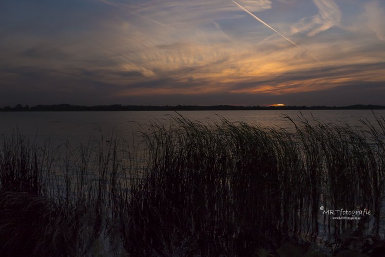 MRTfotografie's tweet photo. Goedemorgen.
#weekendleesvoer
Korte dagen, weinig licht. Tips om toch met goede foto's thuis te komen: https://t.co/z6T9oFPnlD
Fijn weekend!๐ท๐งกโ๏ธ๐โโ๏ธ https://t.co/BGequnmyCj