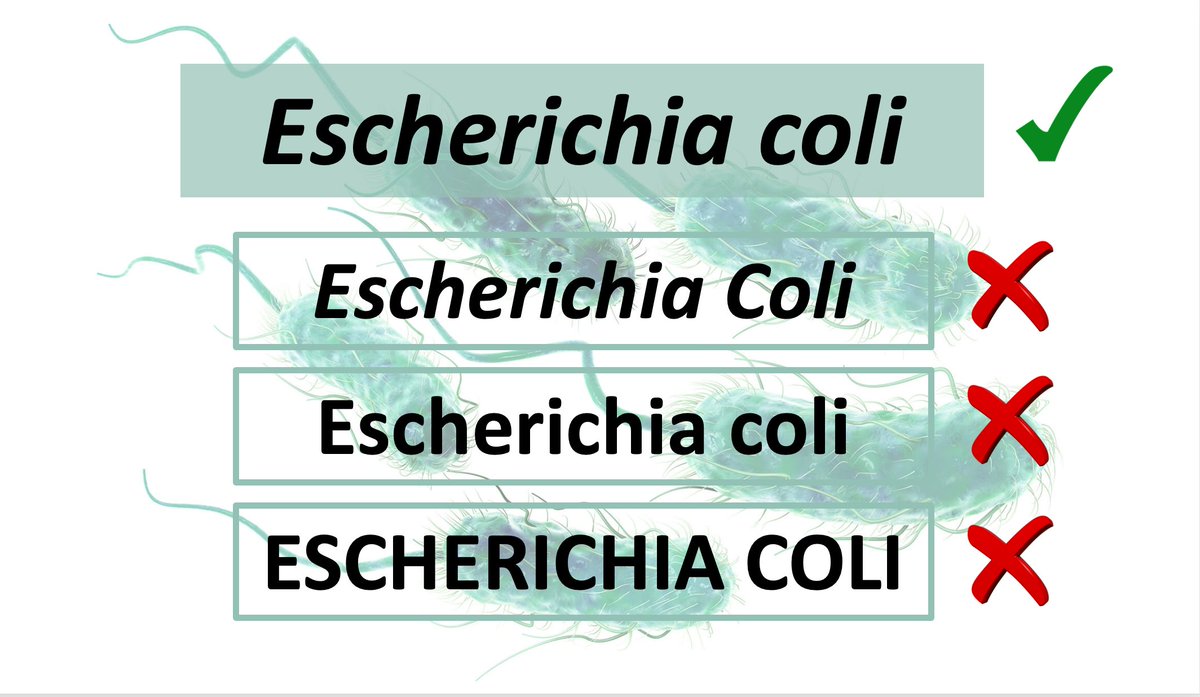 Jéssica Gil Serna tweet media