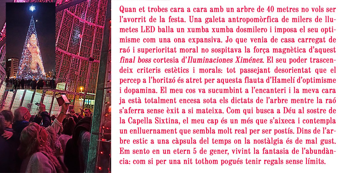 🎄L'arbre més alt de l'univers