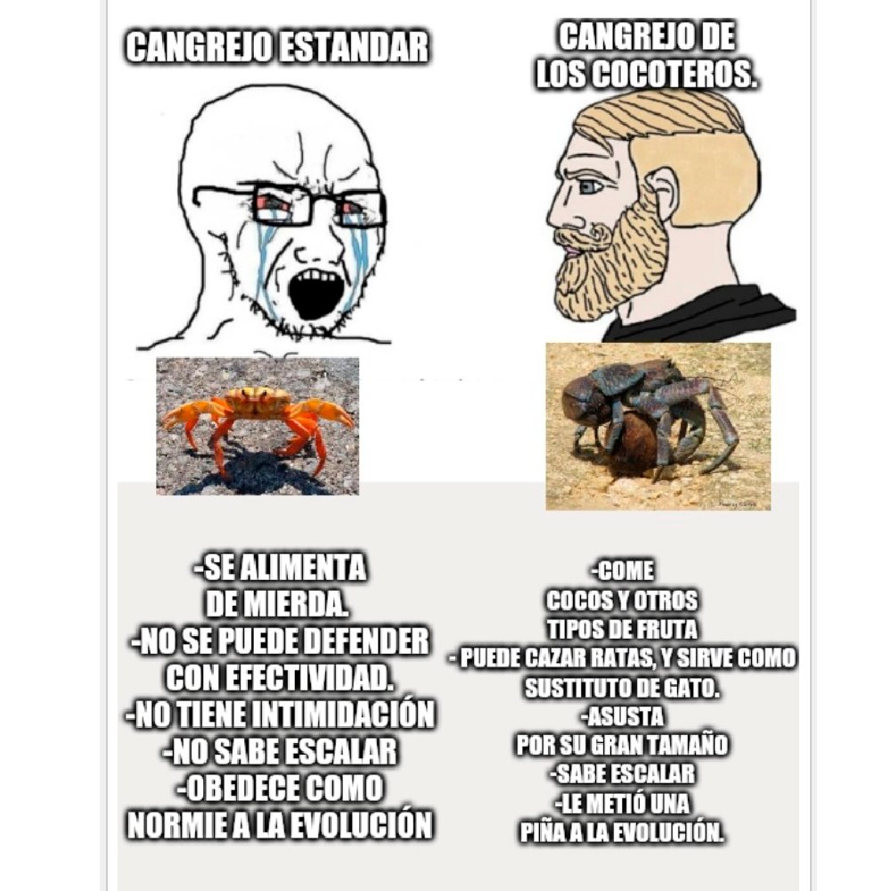 Solo es un meme, amantes de los \, image size:1000x1000