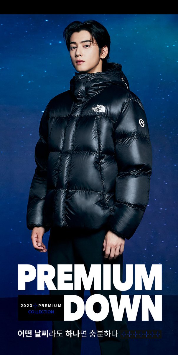 ChaEunwooINTL's tweet photo. 📸 Cha Eunwoo for The North Face 2023 Premium collection

🔗https://t.co/XOJv3xHZti

#CHAEUNWOO #차은우 #이동민
#チャウヌ #车银优 #ชาอึนอู #車銀優
#노스페이스 #THENORTHFACE https://t.co/ZNuj70Aqhh