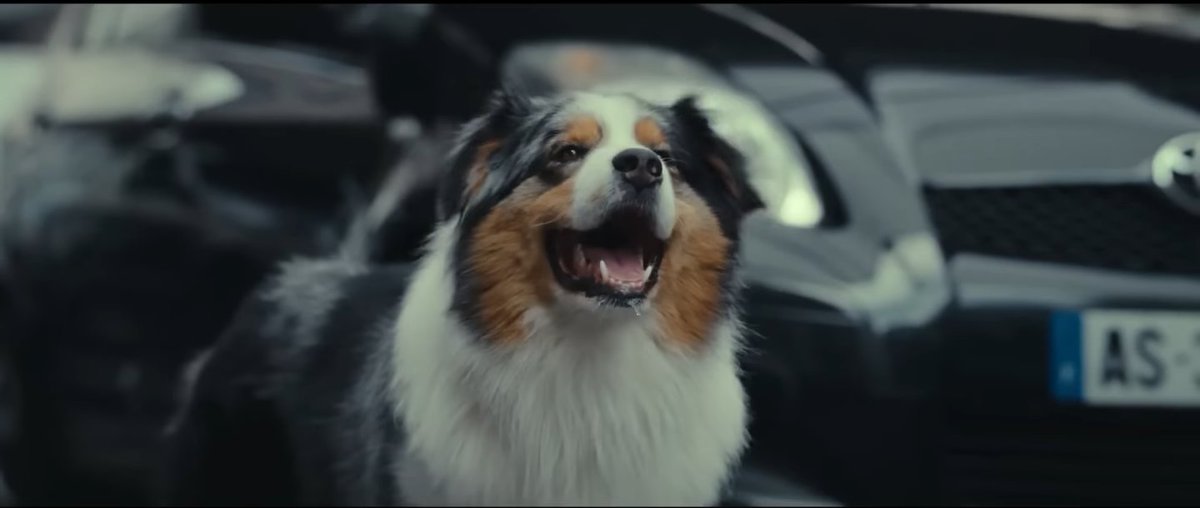 Damien Leblanc tweet media